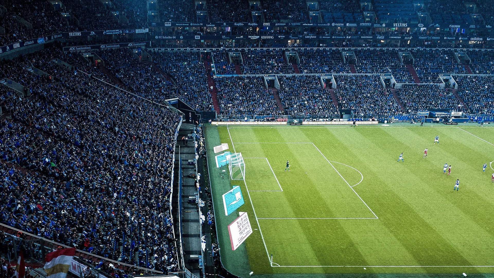 体育新闻年度总结